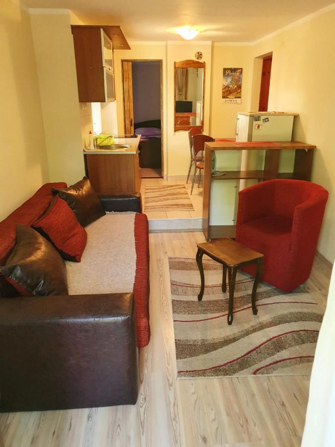 Apartman Sergej 2 Sokobanja Kültér fotó