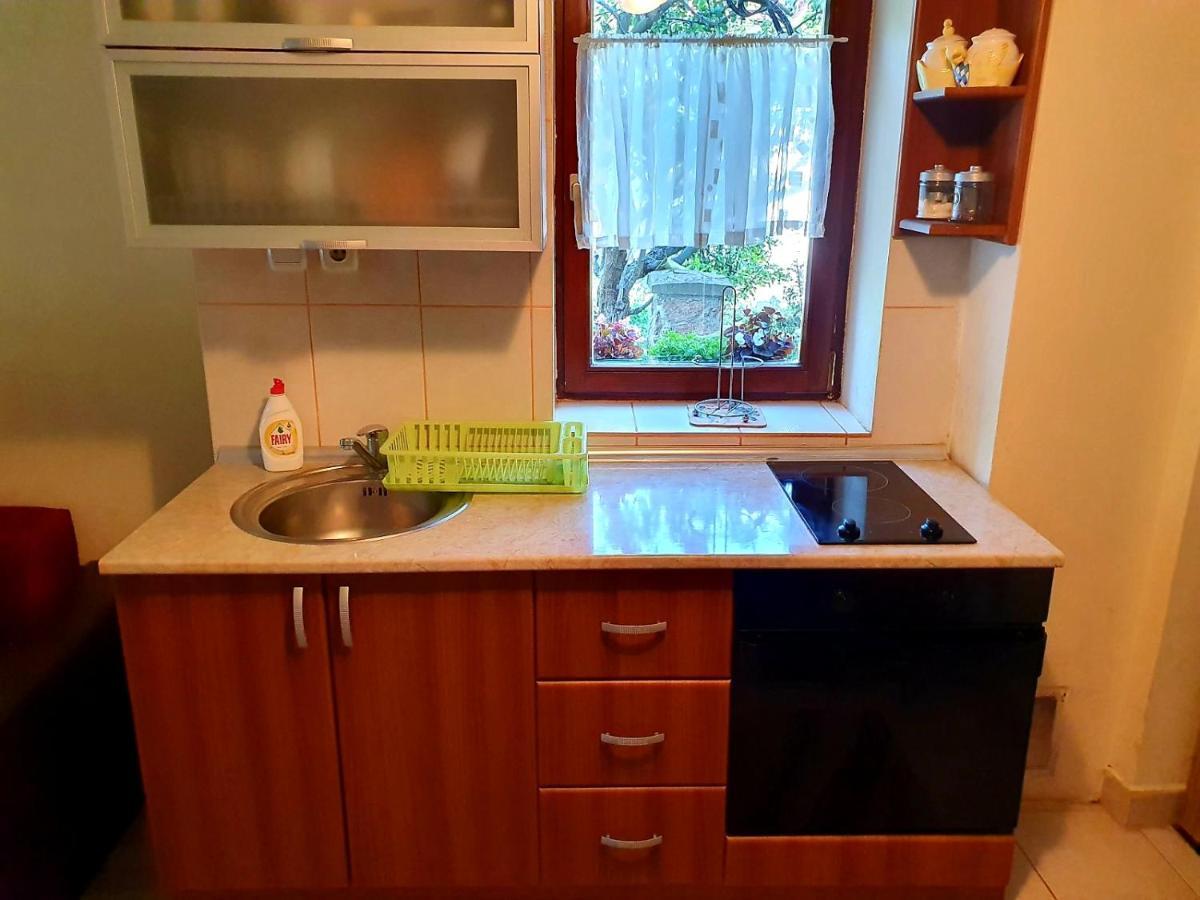 Apartman Sergej 2 Apartman Sokobanja Kültér fotó