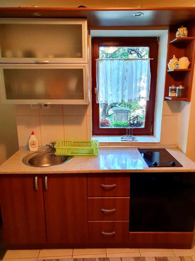 Apartman Sergej 2 Apartman Sokobanja Kültér fotó